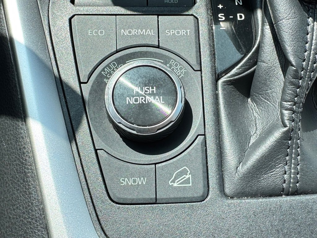 2019 Toyota RAV4 TRAIL / LE MOINS CHER DU NET POINT FINAL / in Thetford Mines, Quebec - 49 - w1024h768px