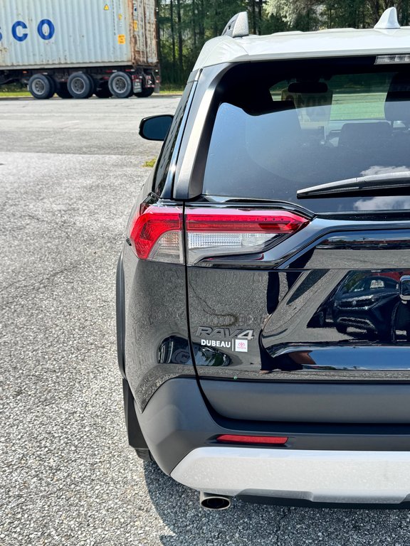 2019 Toyota RAV4 TRAIL / LE MOINS CHER DU NET POINT FINAL / in Thetford Mines, Quebec - 21 - w1024h768px