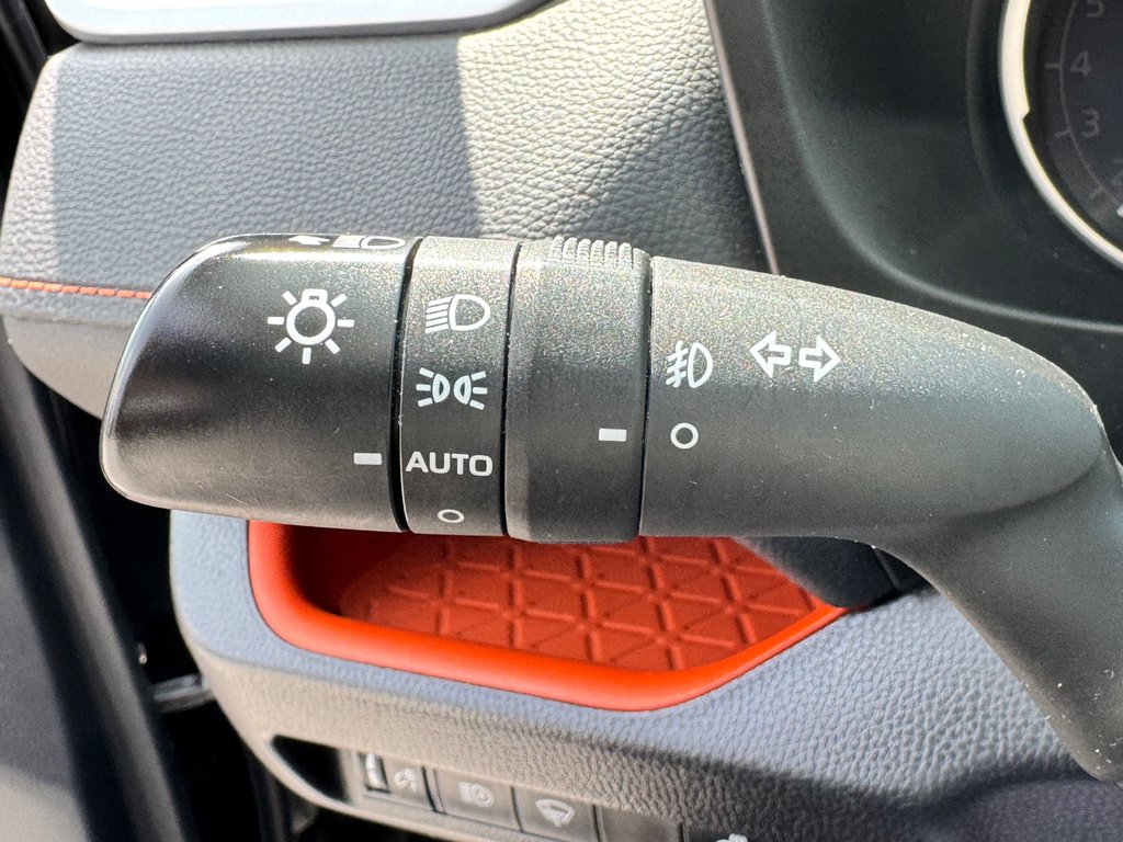 2019 Toyota RAV4 TRAIL / LE MOINS CHER DU NET POINT FINAL / in Thetford Mines, Quebec - 38 - w1024h768px