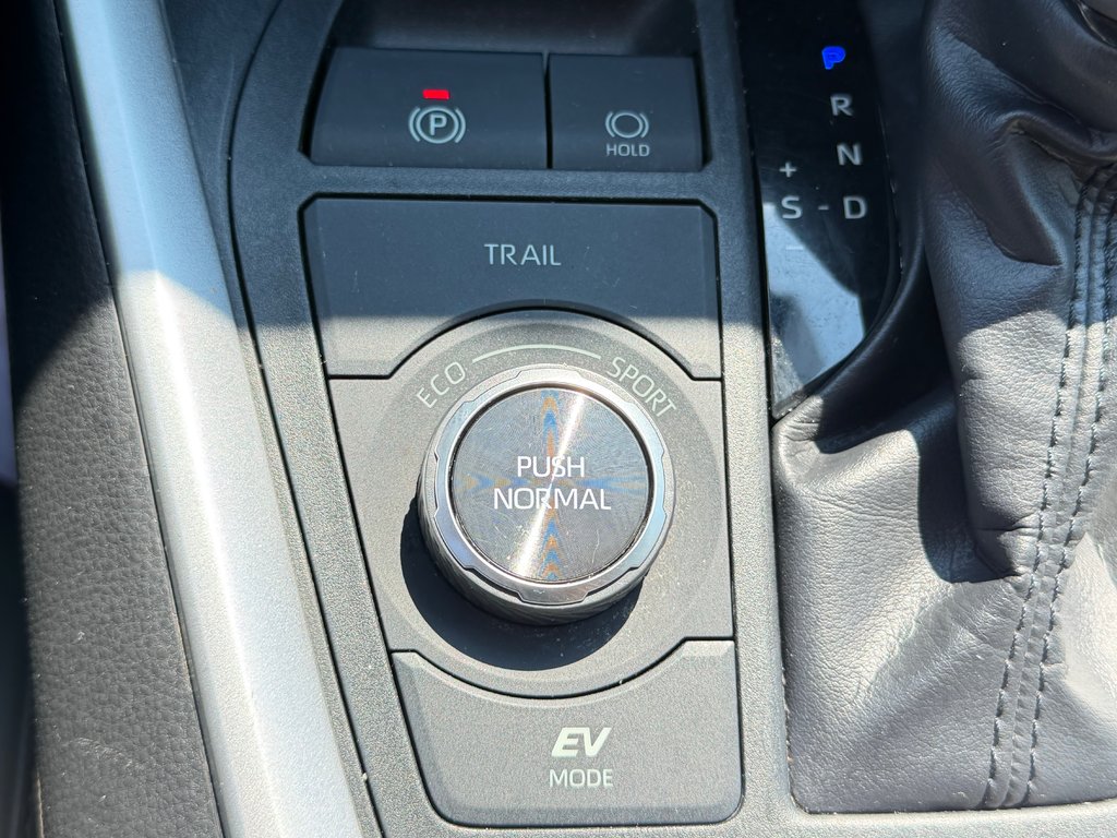 Toyota RAV4 HYBRIDE LIMITED AWD / MEILLEUR PRIX GARANTIS / 2019 à Thetford Mines, Québec - 60 - w1024h768px