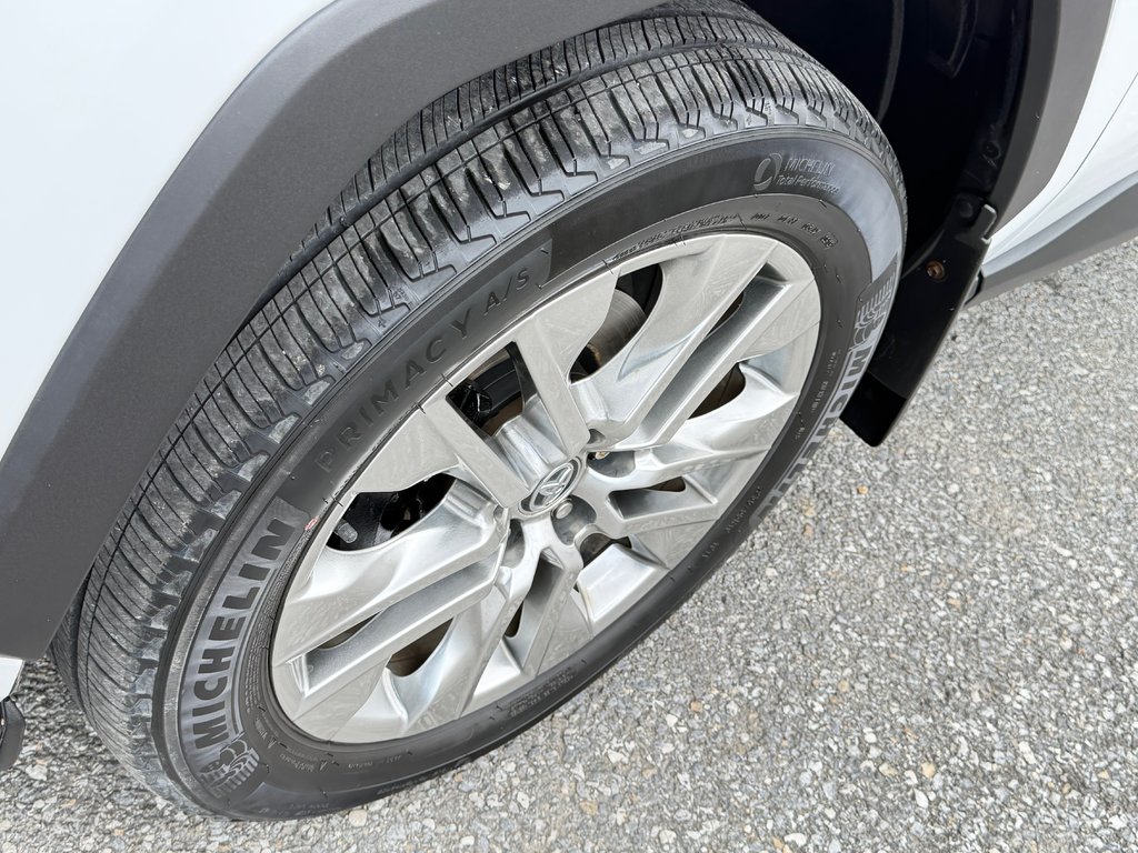 2019 Toyota RAV4 XLE PREMIUM AWD / 42,192KM SEULEMENT / PAS CHER / in Thetford Mines, Quebec - 14 - w1024h768px