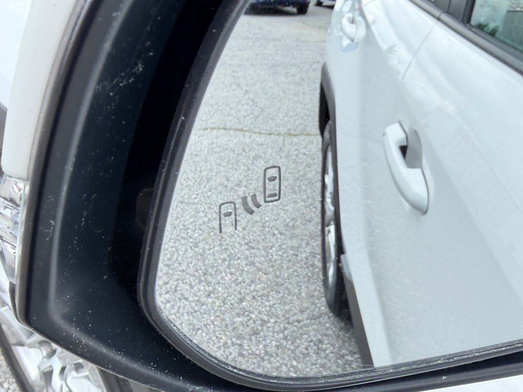 2019 Toyota RAV4 XLE PREMIUM AWD / 42,192KM SEULEMENT / PAS CHER / in Thetford Mines, Quebec - 29 - w1024h768px