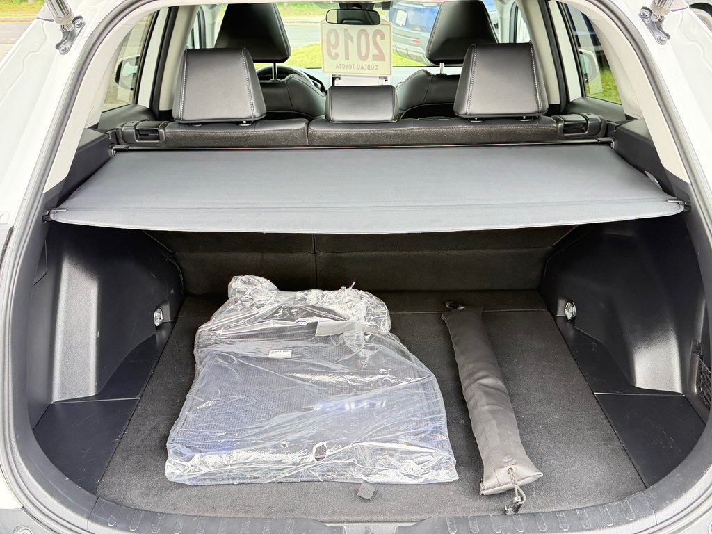 2019 Toyota RAV4 XLE PREMIUM AWD / 42,192KM SEULEMENT / PAS CHER / in Thetford Mines, Quebec - 59 - w1024h768px