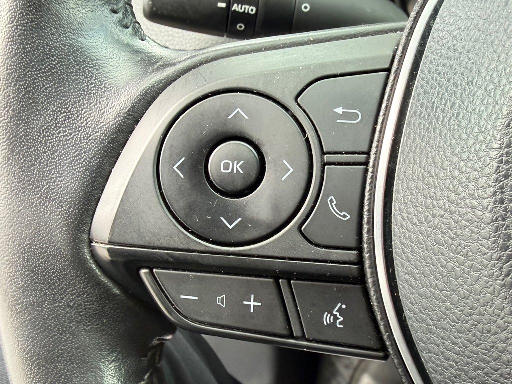 2019 Toyota RAV4 XLE PREMIUM AWD / 42,192KM SEULEMENT / PAS CHER / in Thetford Mines, Quebec - 38 - w1024h768px