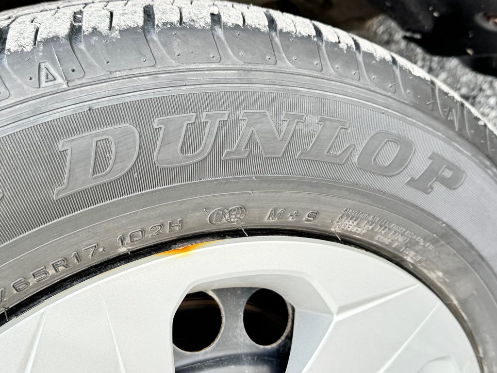 Toyota RAV4 LE AWD / TRÈS BAS KILOS / AUBAINE !!!!!!!!! 2020 à Thetford Mines, Québec - 17 - w1024h768px