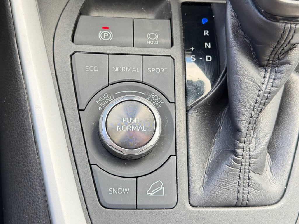 2020 Toyota RAV4 TRAIL AWD / HITCH / 3.500BLS TOWING / in Thetford Mines, Quebec - 51 - w1024h768px