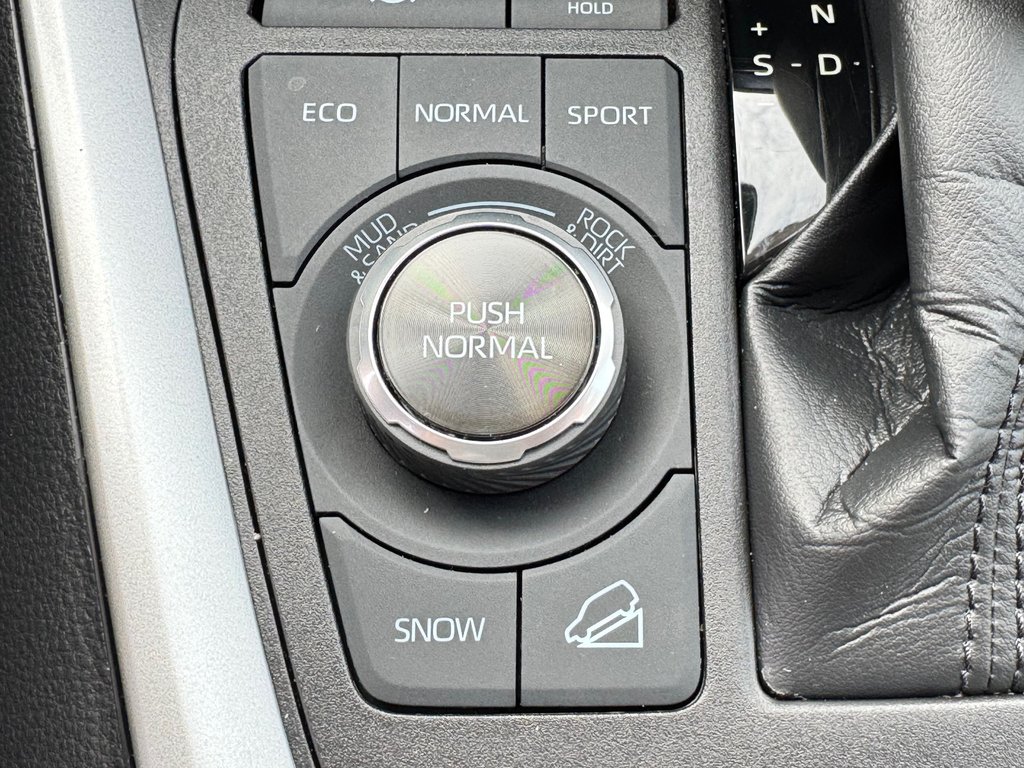 Toyota RAV4 TRAIL AWD / ÉTAT NEUF / 9 959 km /  3500 LBS REMORQUAGE 2022 à Thetford Mines, Québec - 45 - w1024h768px