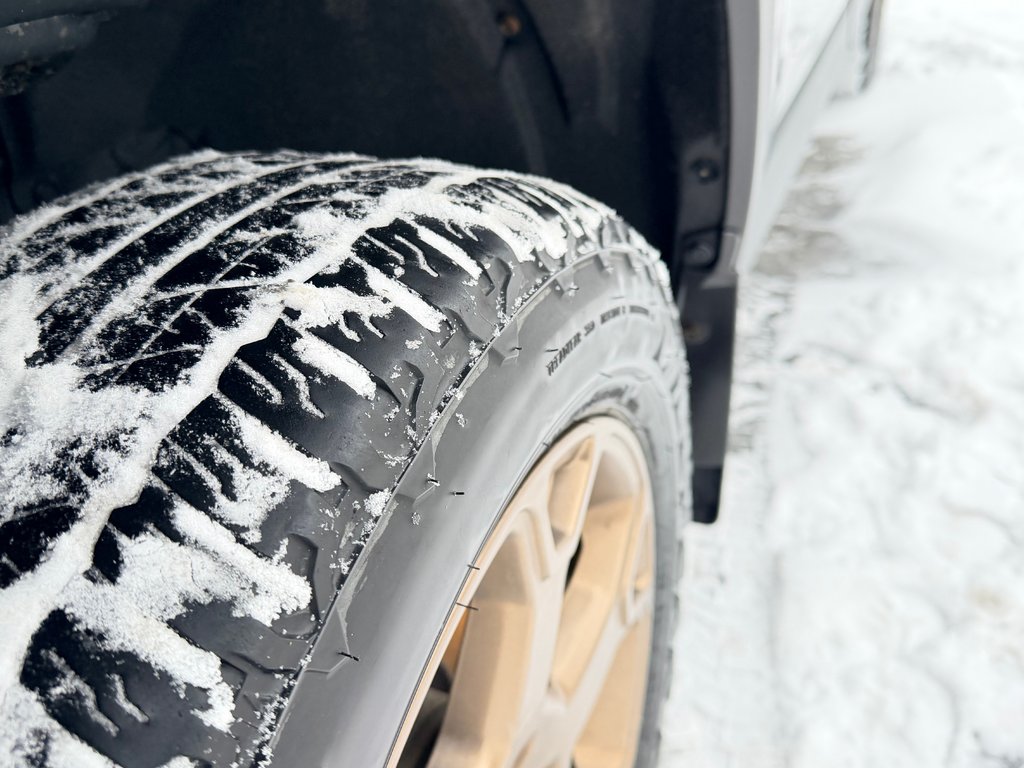 2023 Toyota RAV4 WOODLAND HYBRIDE ( TRÈS RARE ) PEA 30-03-28=100KM in Thetford Mines, Quebec - 19 - w1024h768px