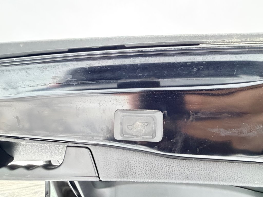 2023 Toyota RAV4 WOODLAND HYBRIDE ( TRÈS RARE ) PEA 30-03-28=100KM in Thetford Mines, Quebec - 59 - w1024h768px