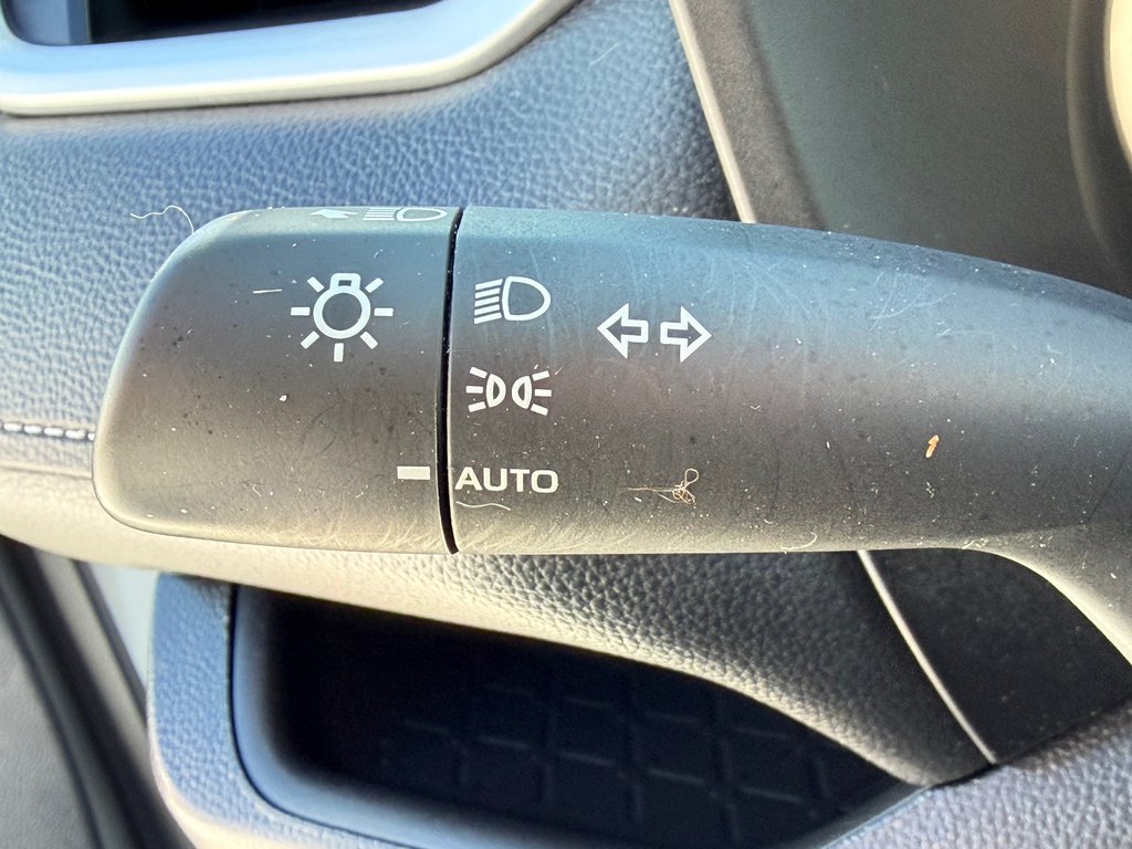 Toyota RAV4 LE AWD / 17.200KM SEULEMENT WOWWWWW !!! / 2023 à Thetford Mines, Québec - 30 - w1024h768px