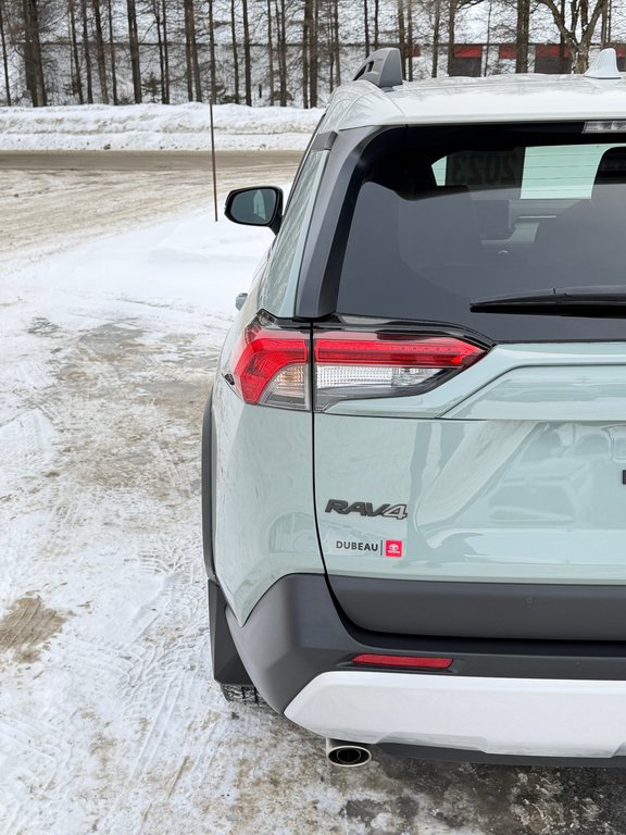 Toyota RAV4 TRAIL AWD / TRÈS BAS KILOS / COULEUR RARE !!! / 2023 à Thetford Mines, Québec - 21 - w1024h768px