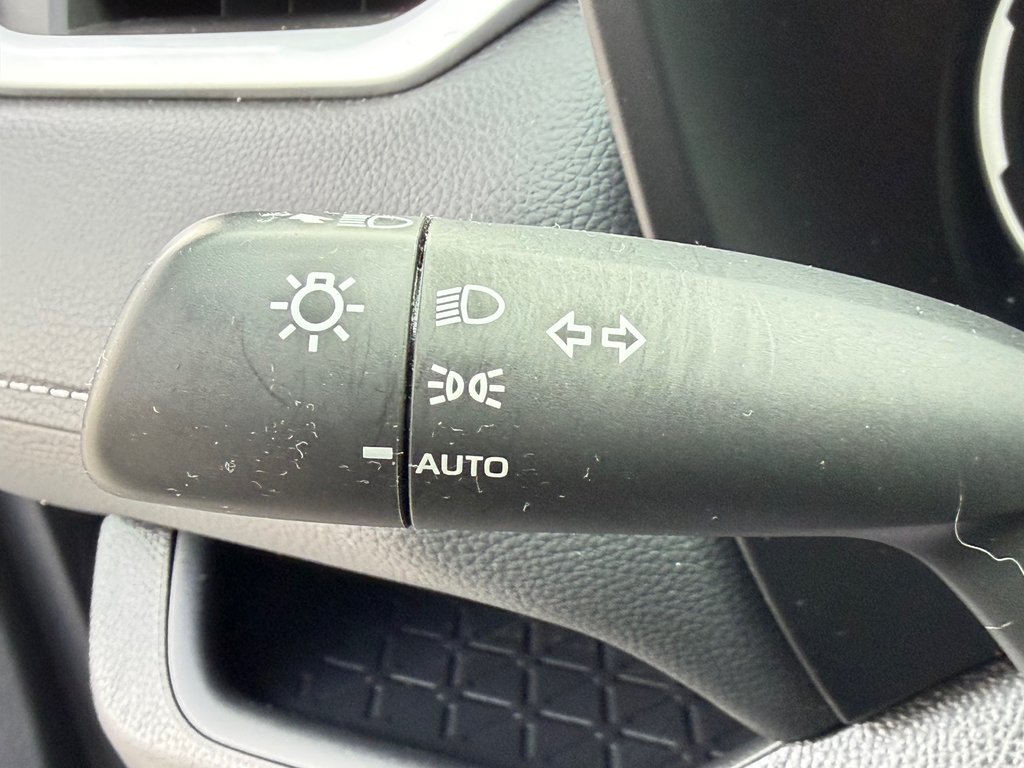 Toyota RAV4 XLE AWD / VITRE TEINTÉES / BAS KILOS ! / 2024 à Thetford Mines, Québec - 36 - w1024h768px