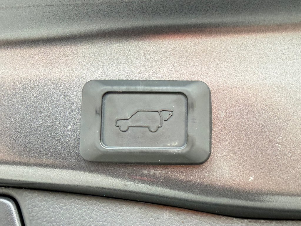 Toyota RAV4 XLE AWD / VITRE TEINTÉES / BAS KILOS ! / 2024 à Thetford Mines, Québec - 60 - w1024h768px