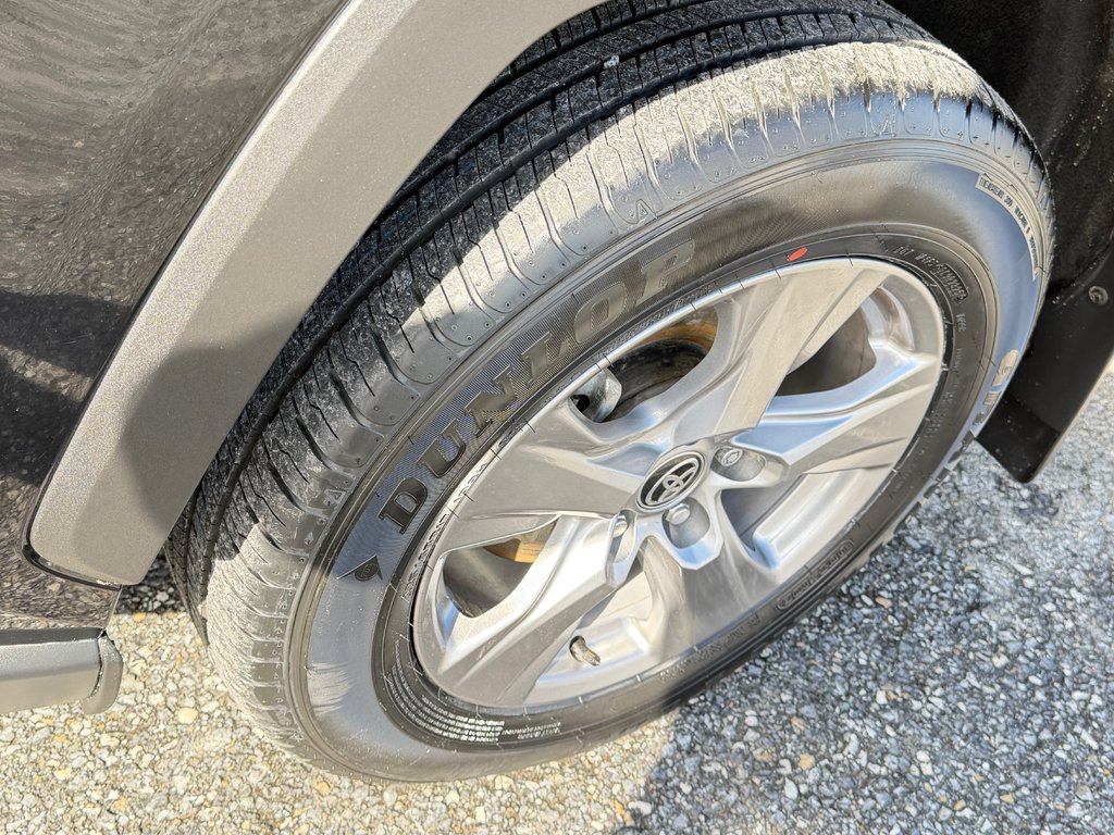 Toyota RAV4 XLE AWD / HITCH TOYOTA / TAG / ÉTAT NEUF !!! / 2025 à Thetford Mines, Québec - 13 - w1024h768px