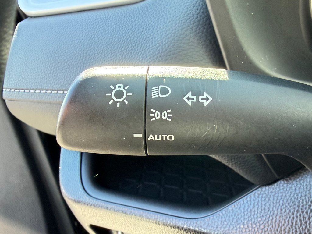 Toyota RAV4 XLE AWD / HITCH TOYOTA / TAG / ÉTAT NEUF !!! / 2025 à Thetford Mines, Québec - 36 - w1024h768px