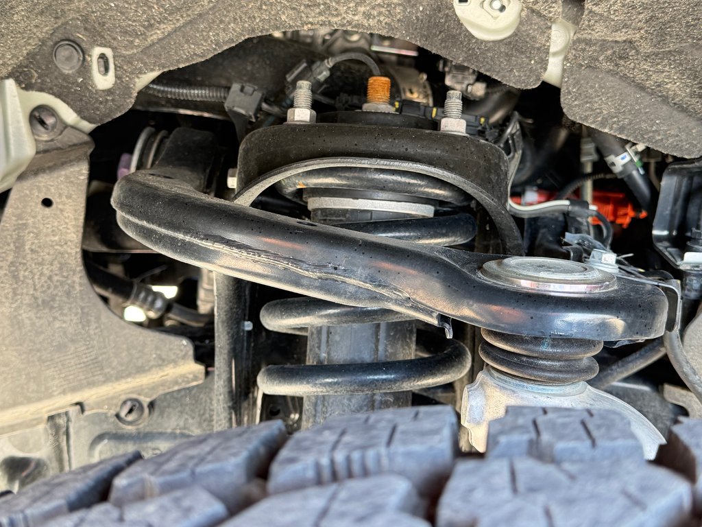 2026 Toyota TACOMA HYBRIDE LIMITED EDITION NOLS SPORT TOILE BOITE / MAGS ET PNEUS HORS ROUTE / LOGO NOIR in Thetford Mines, Quebec - 21 - w1024h768px