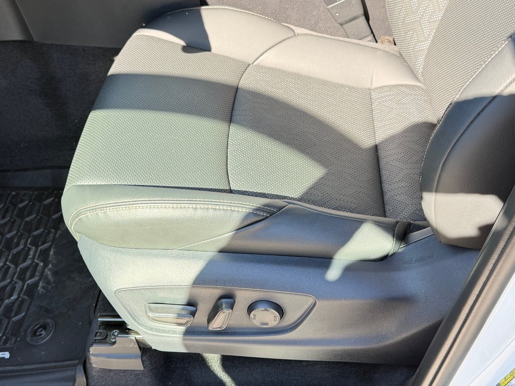 2026 Toyota TACOMA HYBRIDE LIMITED EDITION NOLS SPORT TOILE BOITE / MAGS ET PNEUS HORS ROUTE / LOGO NOIR in Thetford Mines, Quebec - 44 - w1024h768px