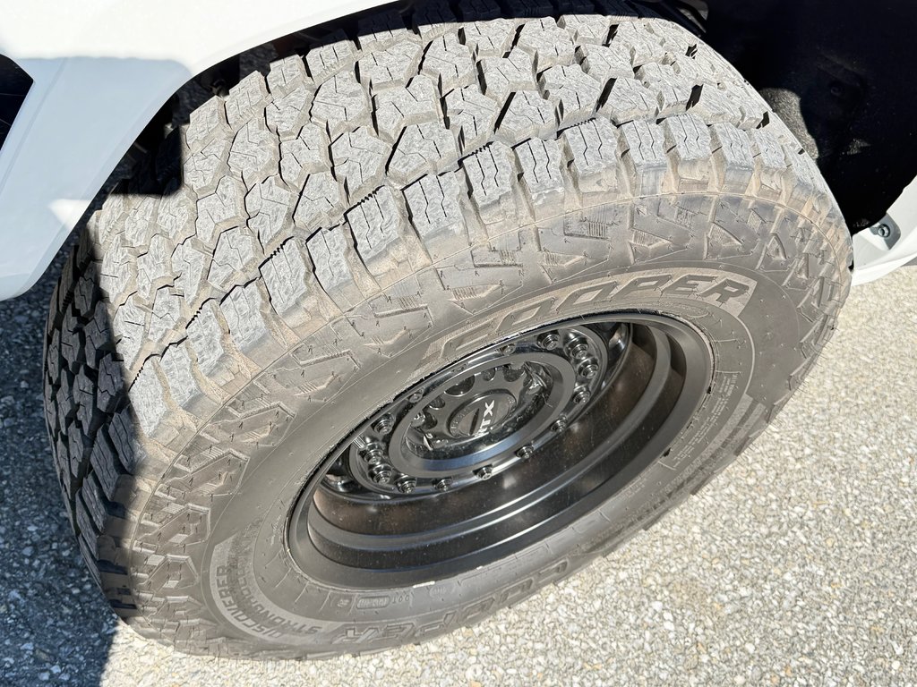 2026 Toyota TACOMA HYBRIDE LIMITED EDITION NOLS SPORT TOILE BOITE / MAGS ET PNEUS HORS ROUTE / LOGO NOIR in Thetford Mines, Quebec - 17 - w1024h768px