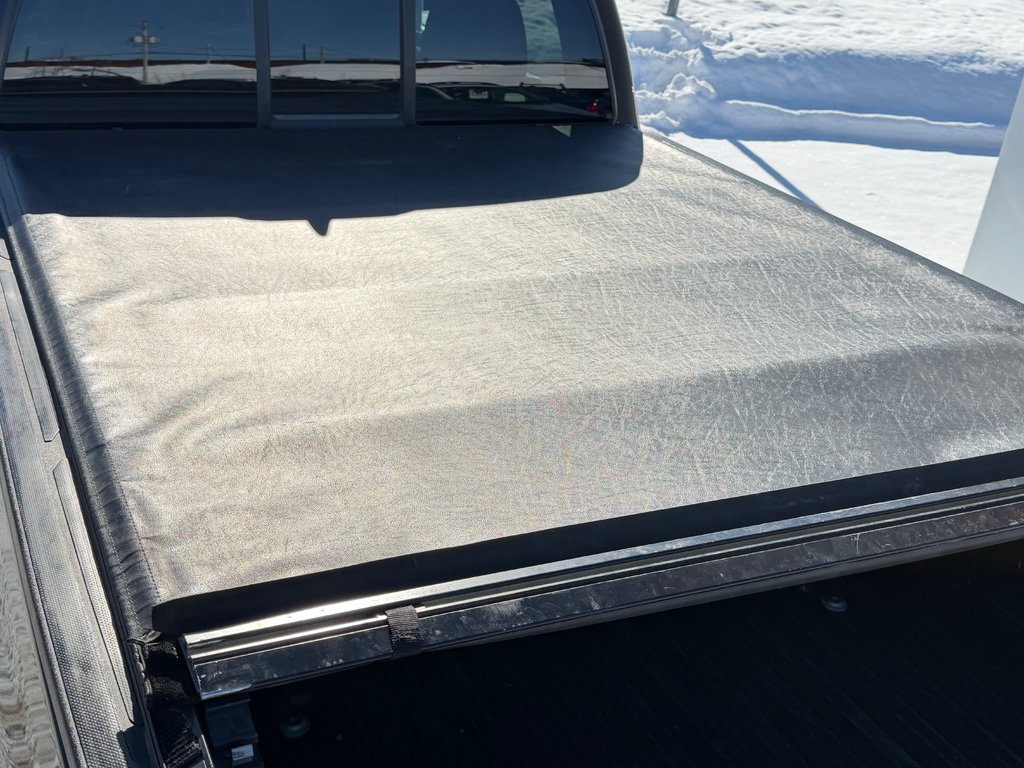 Toyota Tacoma D-CAB SR5 / PEA 28-10-26=100KM / MARCHEPIEDS / TOILE / 2022 à Thetford Mines, Québec - 66 - w1024h768px