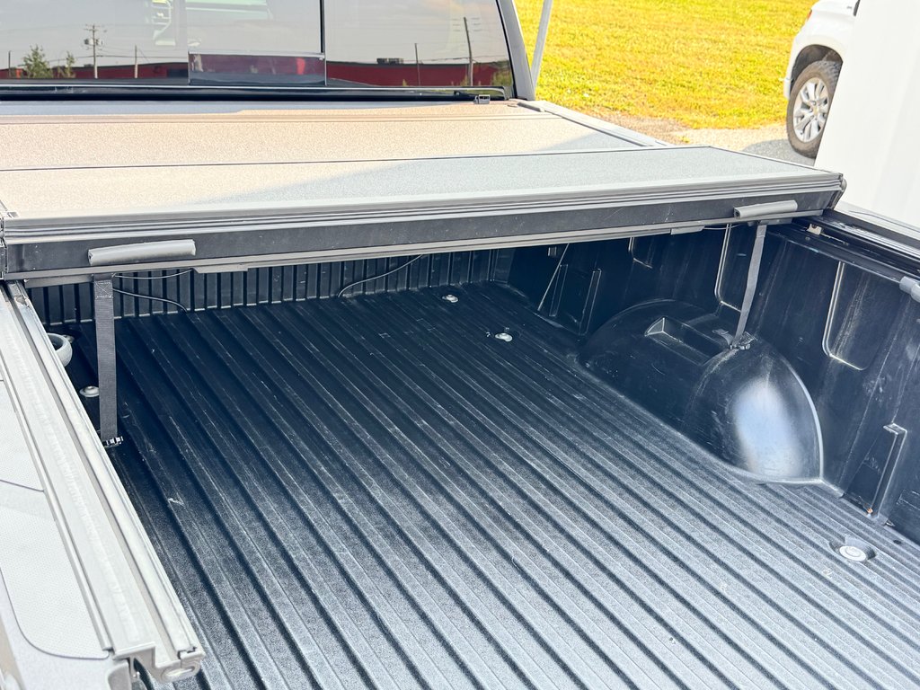 Toyota Tundra SR 2022 à Thetford Mines, Québec - 75 - w1024h768px