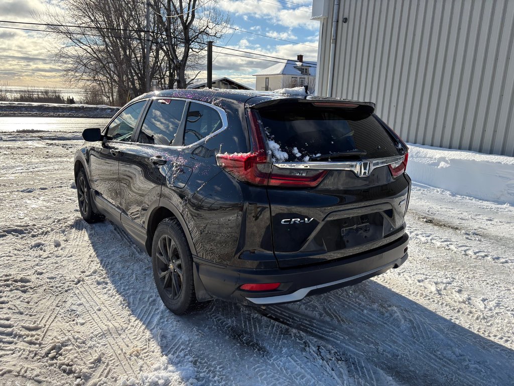 Honda CR-V LX 2020 à Paspébiac, Québec - 6 - w1024h768px