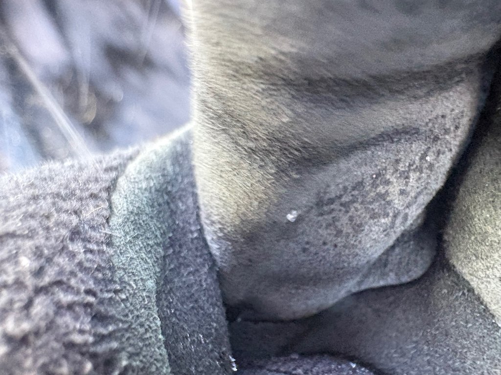 Honda CR-V Sport 2025 à Paspébiac, Québec - 10 - w1024h768px