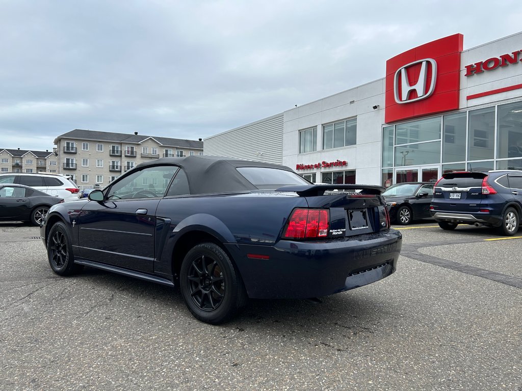 2003  Mustang V6 Convertible in Rivière-du-Loup, Quebec - 3 - w1024h768px