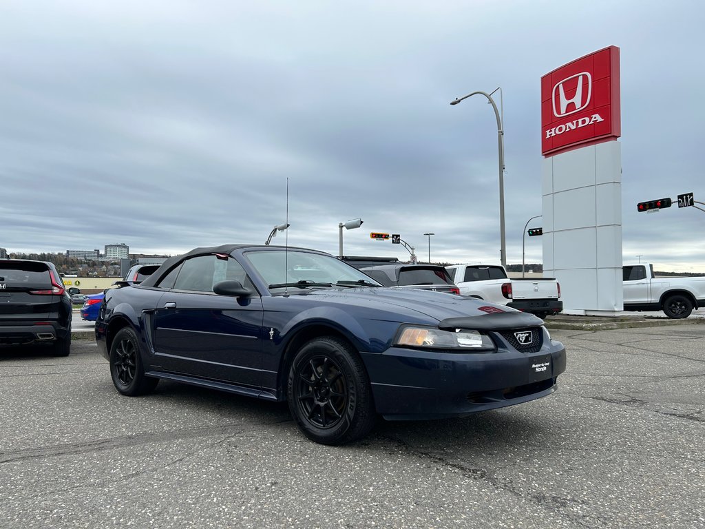 2003  Mustang V6 Convertible in Rivière-du-Loup, Quebec - 6 - w1024h768px