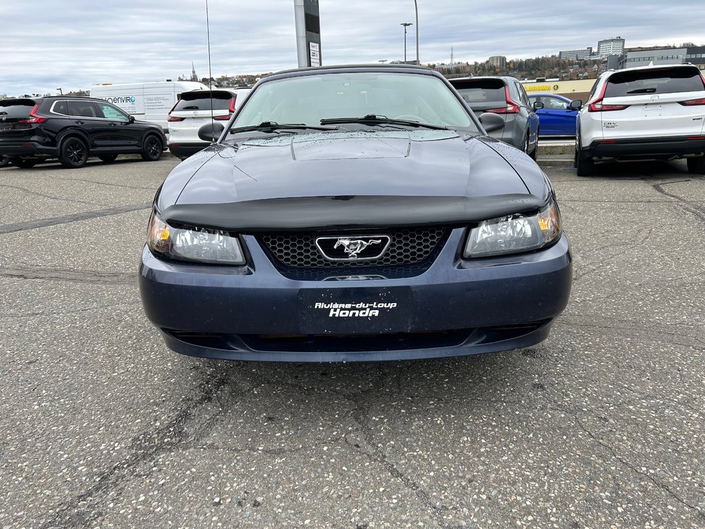 2003  Mustang V6 Convertible in Rivière-du-Loup, Quebec - 7 - w1024h768px