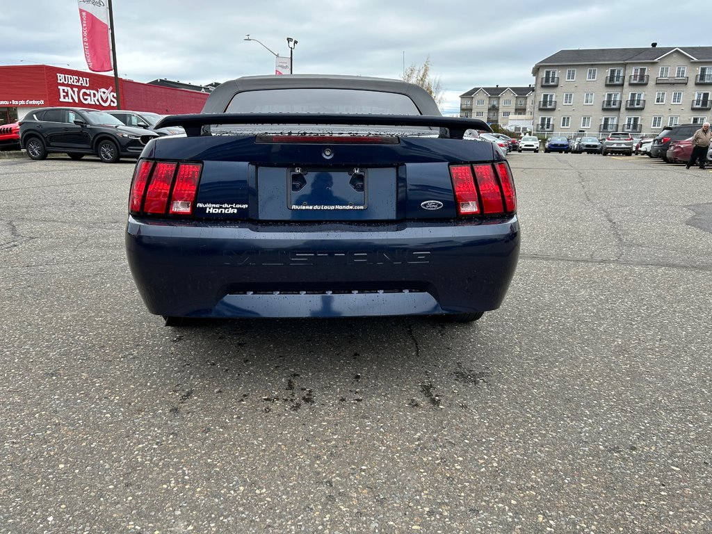 2003  Mustang V6 Convertible in Rivière-du-Loup, Quebec - 4 - w1024h768px