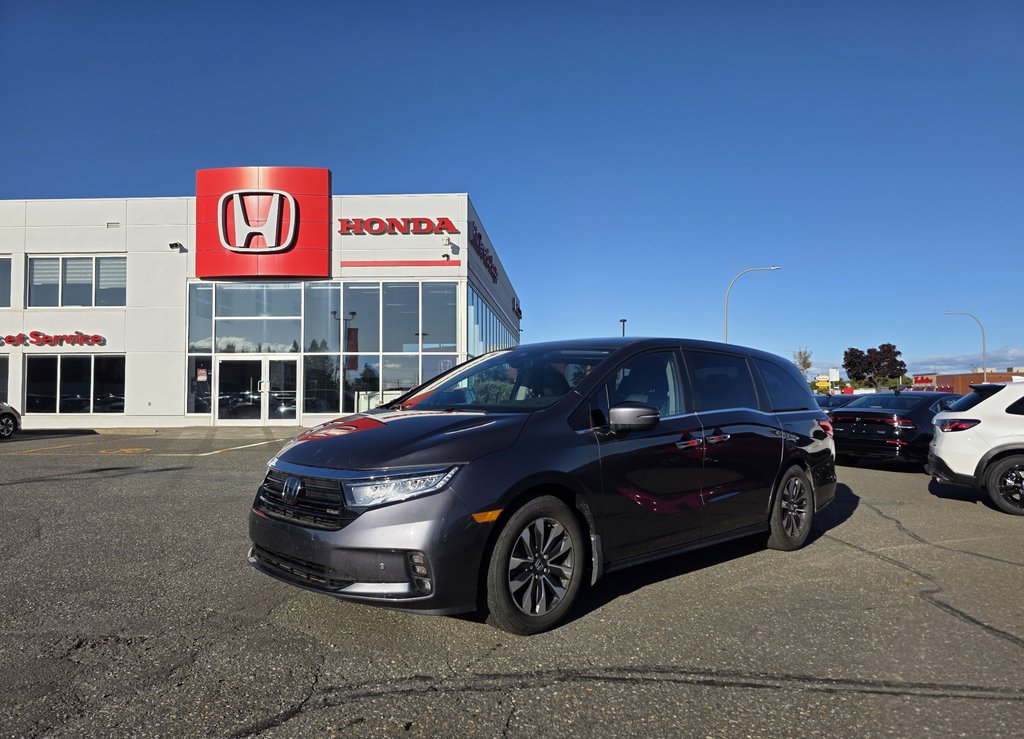 2023 Honda Odyssey EX-L in Rivière-du-Loup, Quebec - 1 - w1024h768px