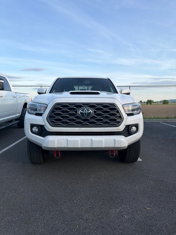Toyota Tacoma TRD Sport 2023 à Saint-Hyacinthe, Québec - 7 - w1024h768px