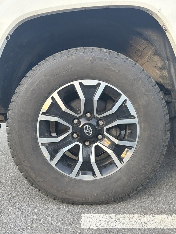 Toyota Tacoma TRD Sport 2023 à Saint-Hyacinthe, Québec - 6 - w1024h768px