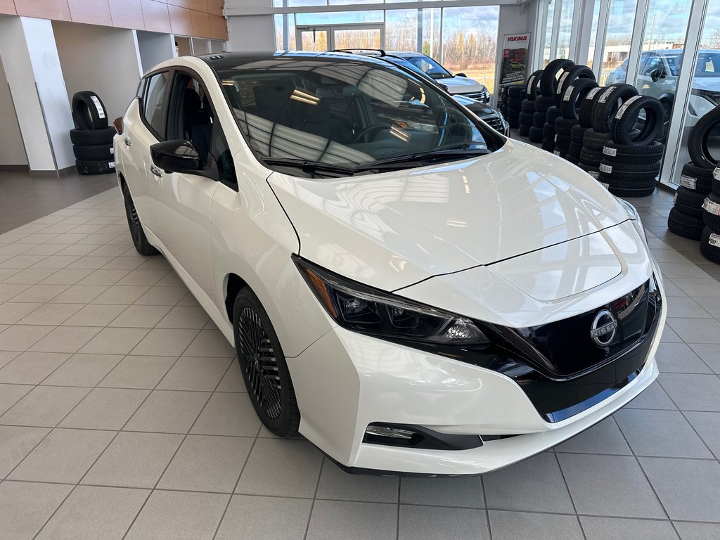 2025  Leaf SV PLUS in Cowansville, Quebec - 6 - w1024h768px