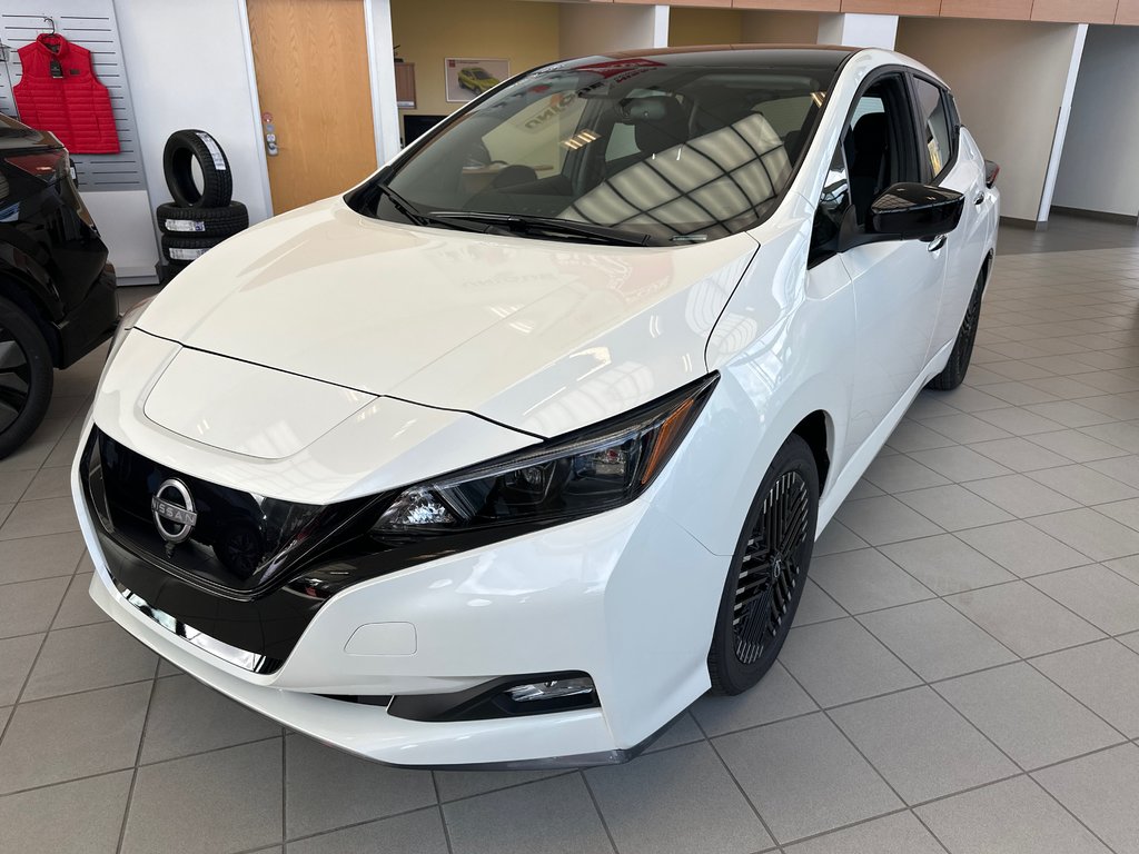 2025  Leaf SV PLUS in Cowansville, Quebec - 2 - w1024h768px