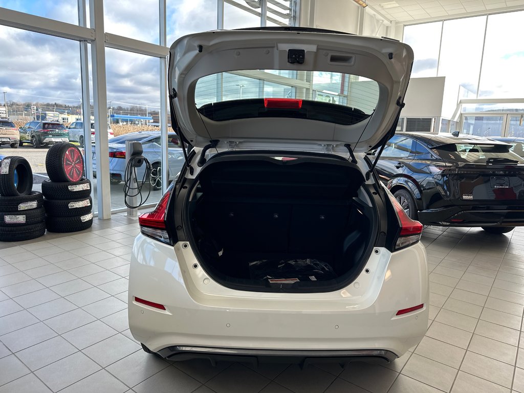 2025  Leaf SV PLUS in Cowansville, Quebec - 11 - w1024h768px