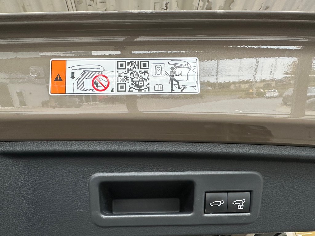 2025 Toyota 4Runner Hybrid TRD PRO in Cowansville, Quebec - 16 - w1024h768px
