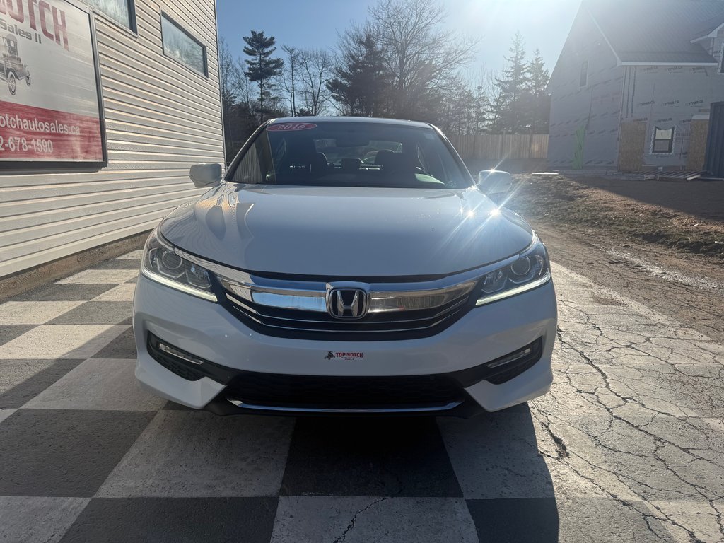 2016 Honda ACCORD Sport, keyless entry, Cruise control, Bluetooth in COLDBROOK, Nova Scotia - 2 - w1024h768px