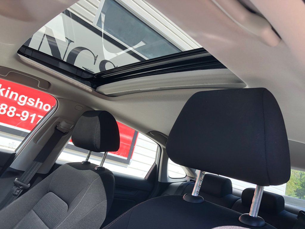 2023 Honda Civic EX - Sunroof, Heated Seats & Wheel, Carplay in COLDBROOK, Nova Scotia - 19 - w1024h768px