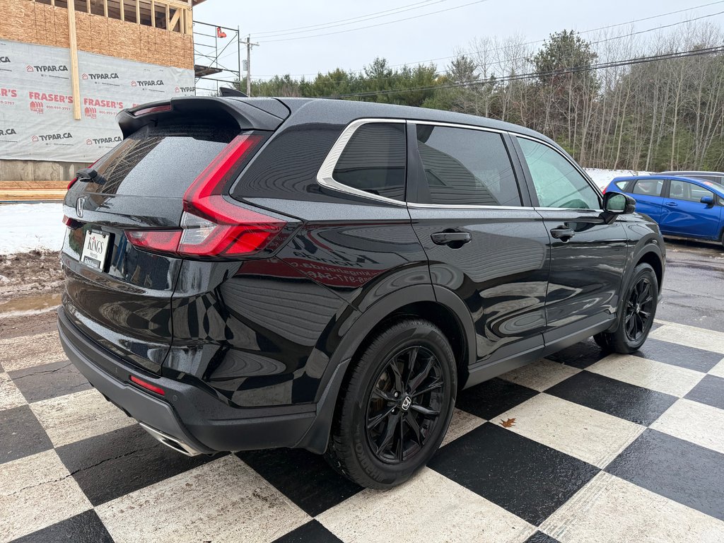 2024 Honda CR-V EXL EXL, Hybrid, remote start, backup camera in Kentville, Nova Scotia - 4 - w1024h768px