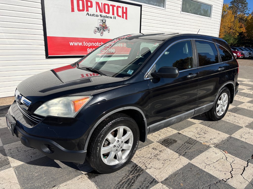 2009  CR-V EX - sunroof, cruise control, a/c, cd player in COLDBROOK, Nova Scotia - 1 - w1024h768px