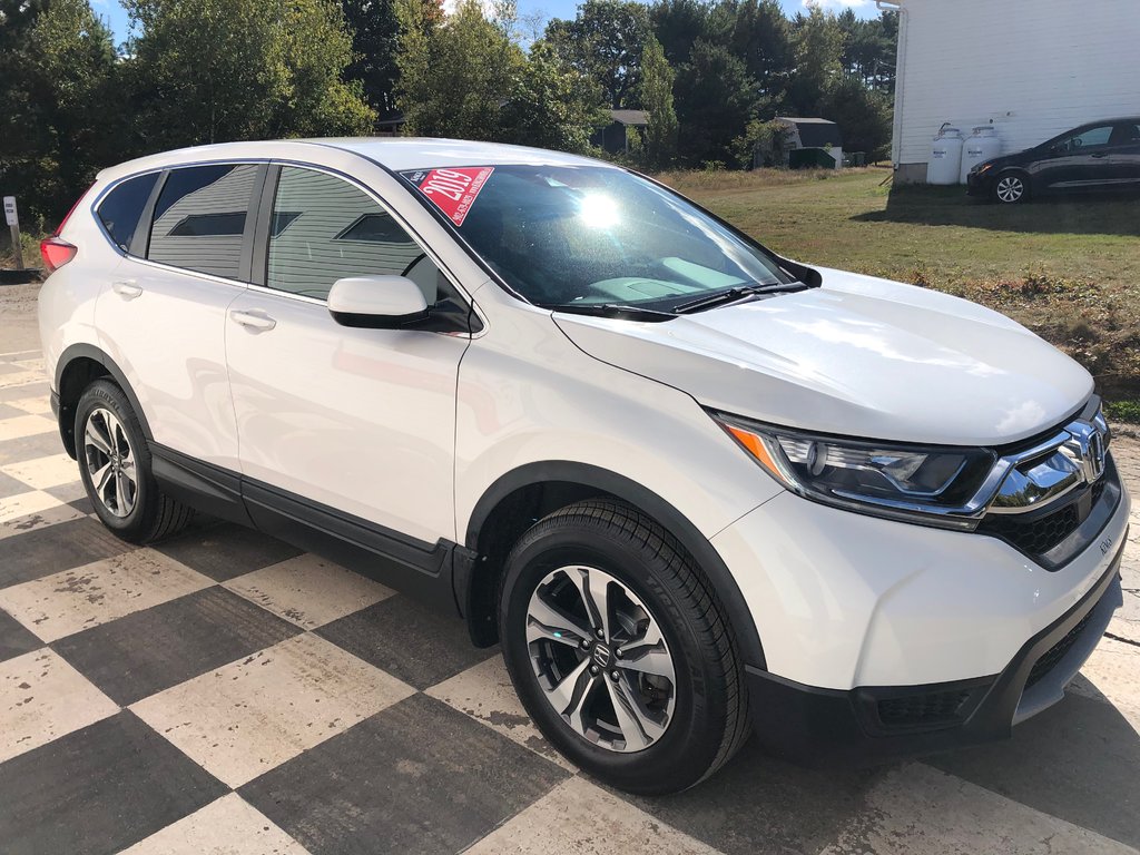 2019  CR-V LX - reverse camera, lane departure, dual climates in COLDBROOK, Nova Scotia - 3 - w1024h768px