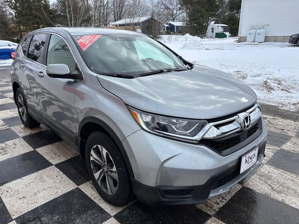 2019 Honda CR-V LX - reverse camera, alloys, lane assist, cruise in COLDBROOK, Nova Scotia - 3 - w1024h768px