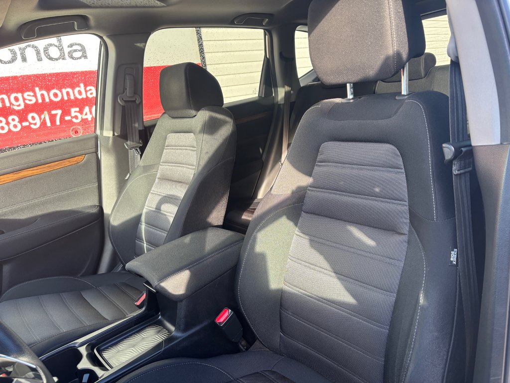 2019  CR-V EX - sunroof, power seats, reverse camera, alloys in COLDBROOK, Nova Scotia - 17 - w1024h768px