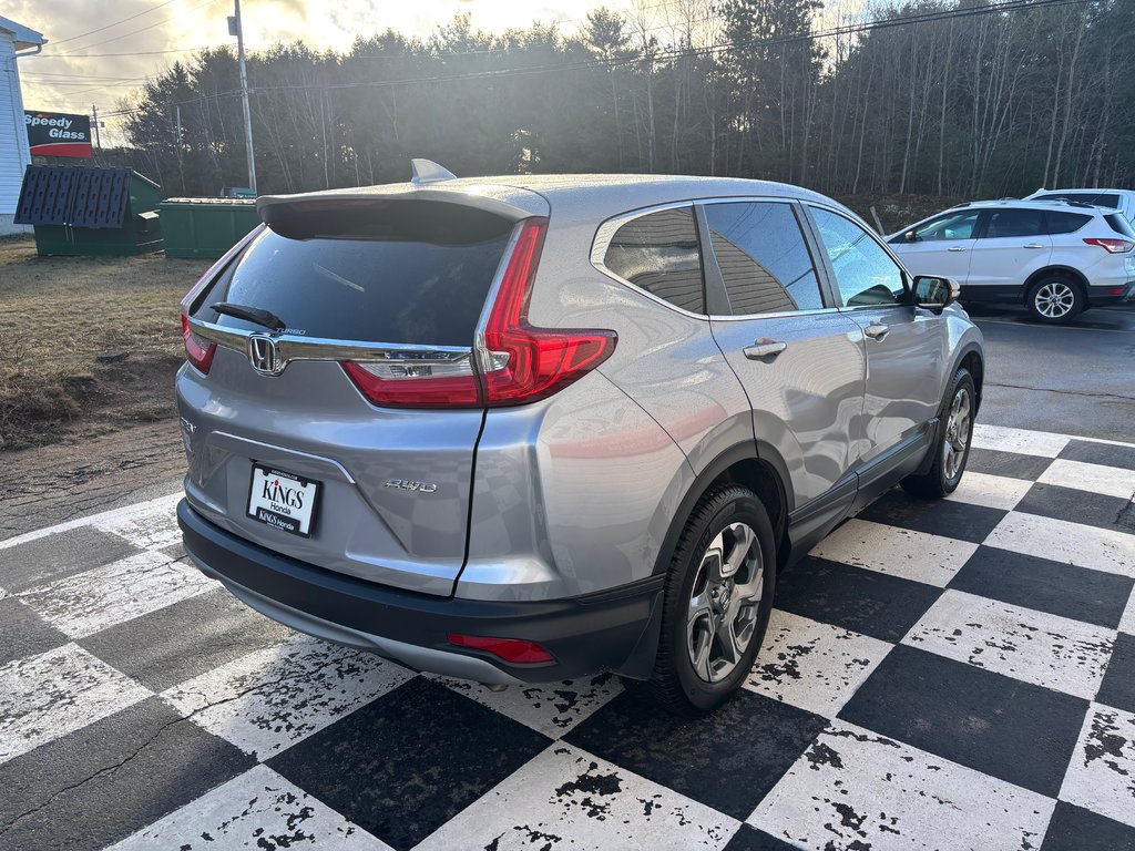 2019  CR-V EX - sunroof, power seats, reverse camera, alloys in COLDBROOK, Nova Scotia - 4 - w1024h768px