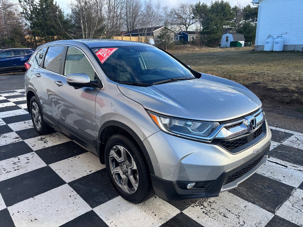 2019  CR-V EX - sunroof, power seats, reverse camera, alloys in COLDBROOK, Nova Scotia - 3 - w1024h768px