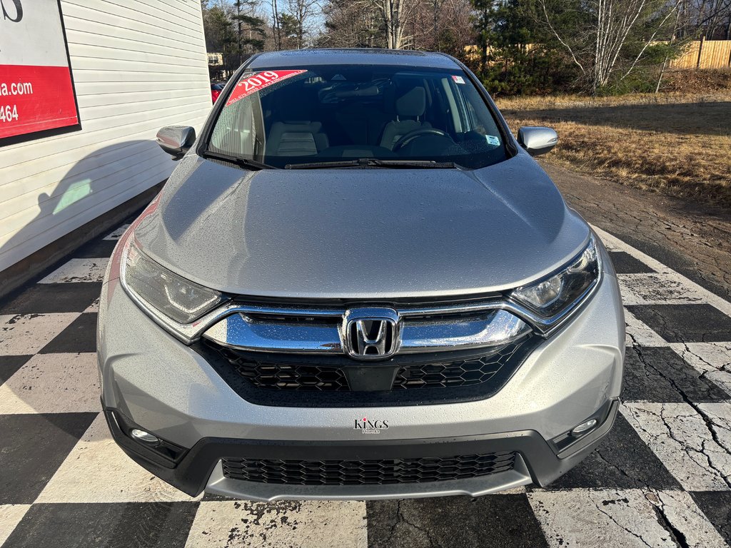 2019  CR-V EX - sunroof, power seats, reverse camera, alloys in COLDBROOK, Nova Scotia - 2 - w1024h768px