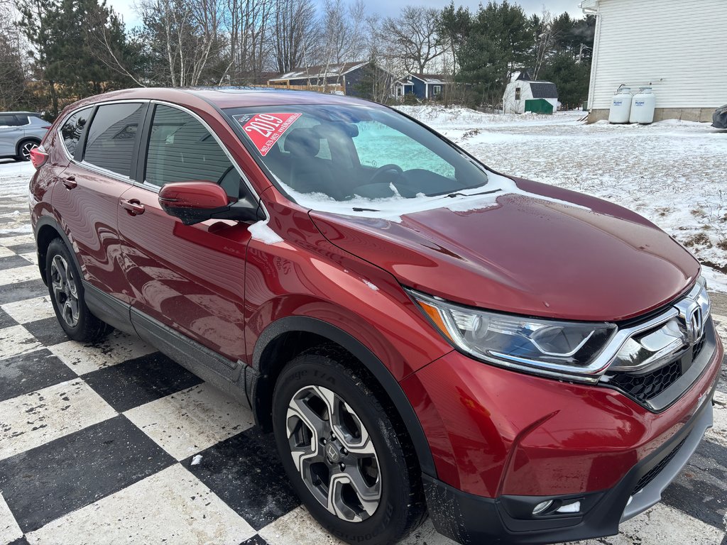 2019 Honda CR-V EX-L - sunroof, dual climate zones, alloys, a/c in COLDBROOK, Nova Scotia - 3 - w1024h768px