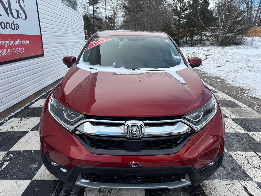 2019 Honda CR-V EX-L - sunroof, dual climate zones, alloys, a/c in COLDBROOK, Nova Scotia - 2 - w1024h768px