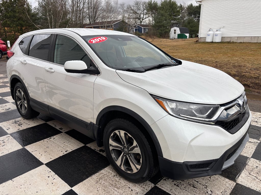 2019  CR-V LX - reverse camera, lane assist, heated mirrors in COLDBROOK, Nova Scotia - 3 - w1024h768px